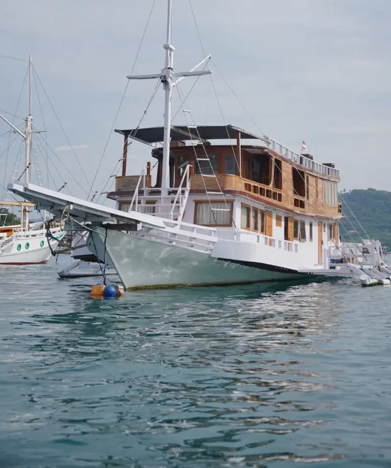 Fortuna，科莫多 (Komodo) 的皮尼西帆船