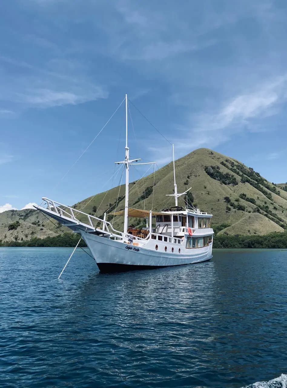 纳闽巴霍 (Labuan Bajo) Gajah Putih 包船,照片 7