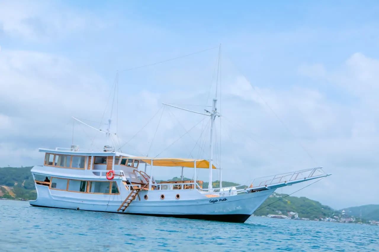 纳闽巴霍 (Labuan Bajo) Gajah Putih 包船,照片 8